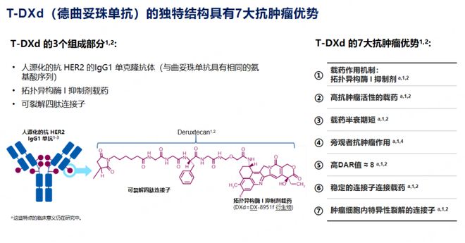 胡毅教授：打破困局德曲妥珠单抗引领HER2突变晚期NSCLC精准治疗新时代(图3)