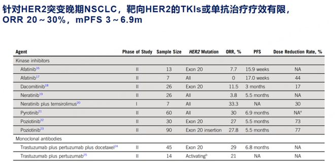 胡毅教授：打破困局德曲妥珠单抗引领HER2突变晚期NSCLC精准治疗新时代(图1)