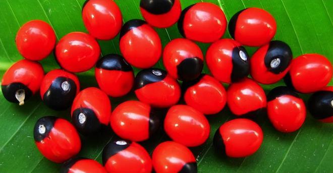 建议停止佩戴这东西辐射超强戴一天相当于做近百次胸片？(图11)