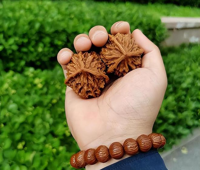 建议停止佩戴这东西辐射超强戴一天相当于做近百次胸片？(图12)