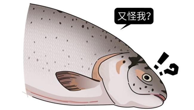 研究称鱼肉不防癌还可能增加癌症风险海洋污染或是元凶(图1)