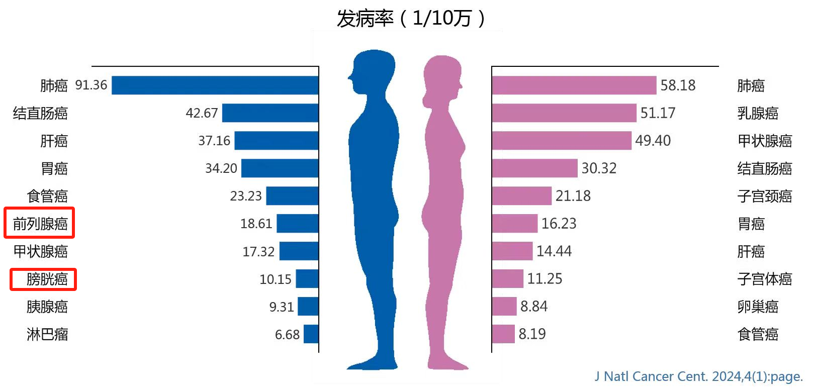 2024年中国癌症报告防癌工作任重而道远！(图3)