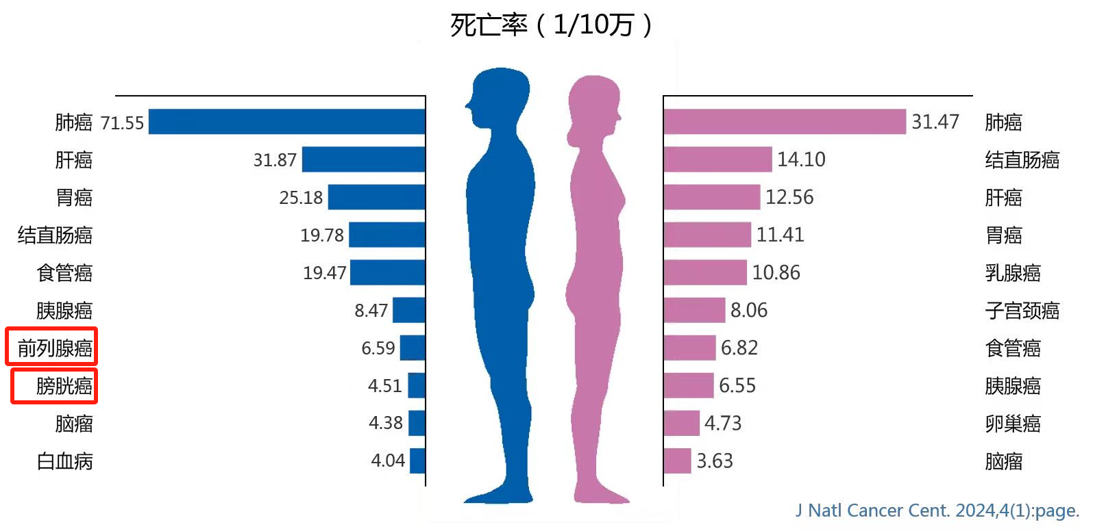 2024年中国癌症报告防癌工作任重而道远！(图5)
