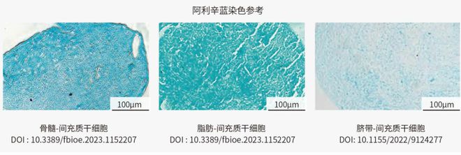 一文概述间充质干细胞(MSC)的三系分化及其培养Protocol(图4)