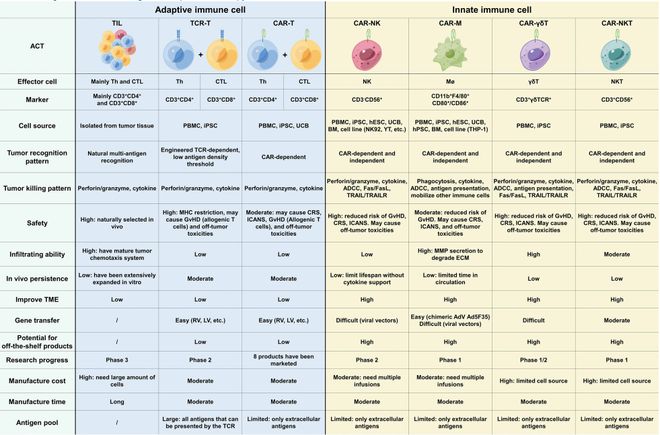 细数九大已经改变治疗格局的新时代免疫细胞疗法(图2)