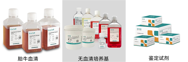 依科赛助力贝斯昂科世界首款碱基编辑NK细胞产品临床试验受理！(图3)