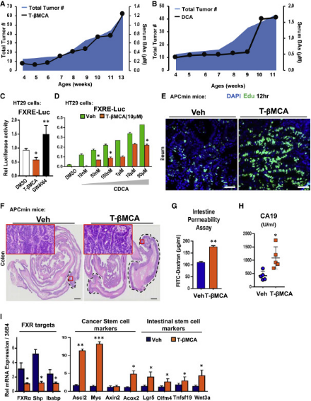 管住口从现在开始！cell+cellrepors研究表明：高脂肪饮食会影响肠道微生物以及代谢加剧患癌风险！(图3)