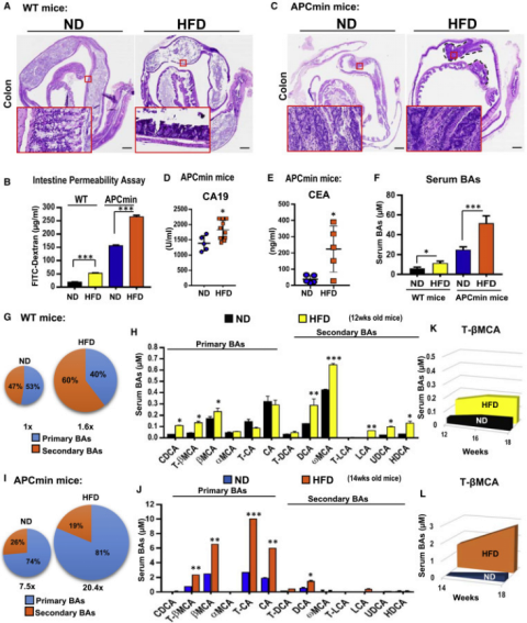 管住口从现在开始！cell+cellrepors研究表明：高脂肪饮食会影响肠道微生物以及代谢加剧患癌风险！(图2)