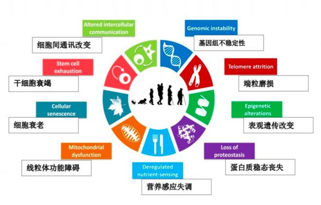 优时颜杜乐：科学与人文双轨进化(图4)