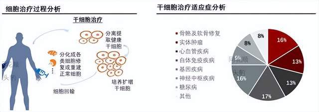 新生儿降至902万！干细胞存储迎当头一棒(图1)