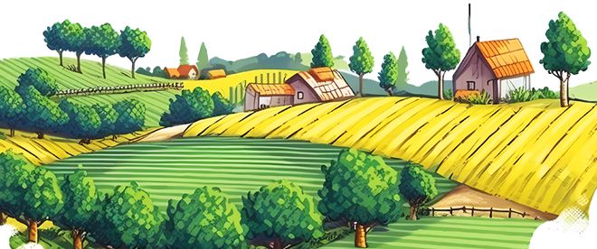 2024中国故城县优秀品牌农特产品展示丨故城县建国立洋家庭农场(图3)