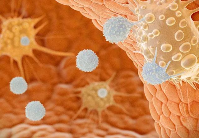 研究60年癌症93岁孙燕院士警告：平时别碰4样东西别不当回事(图3)