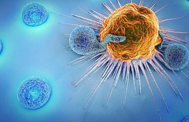 研究60年癌症93岁孙燕院士警告：平时别碰4样东西别不当回事(图7)