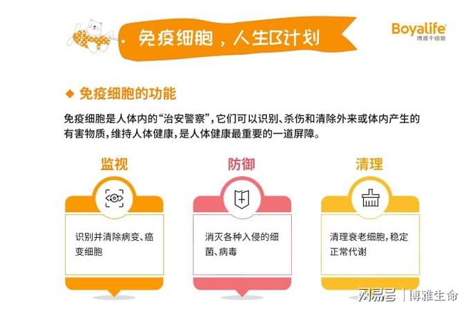 免疫细胞——人体抗癌小能手存储免疫细胞为健康备份保障(图1)