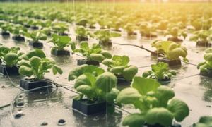 干细胞医疗行业现状及投资价值：2023年至今已有27款干细胞新药获审评受理(图4)
