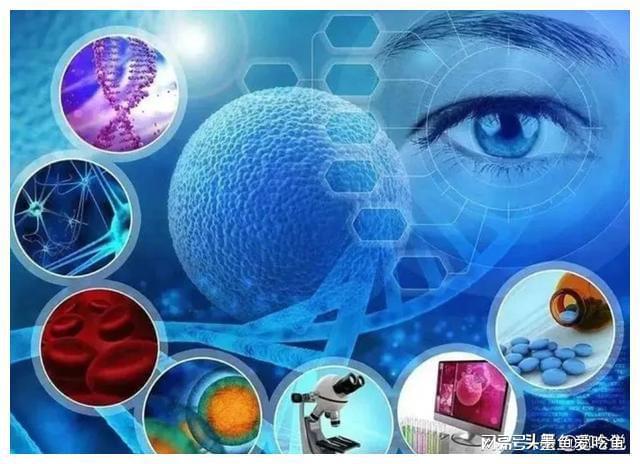 合成生物爆火！4万亿美元赛道接棒低空经济！受益名单出炉～(图4)