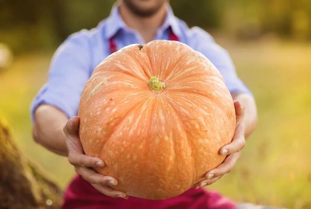 入秋别再迷恋西瓜它才是真正“秋瓜王”！清热祛湿还防癌帮你轻松养出黄金胃(图2)