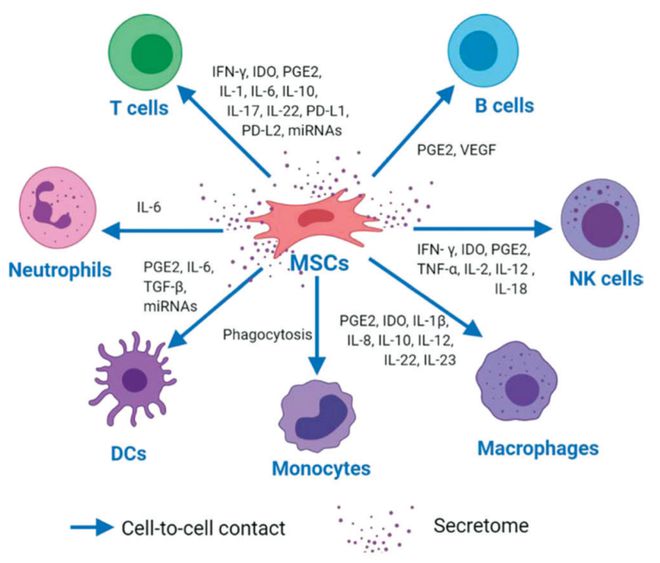 BIOI最新速递SARS-CoV-2和流感病毒感染的干细胞疗法(图2)