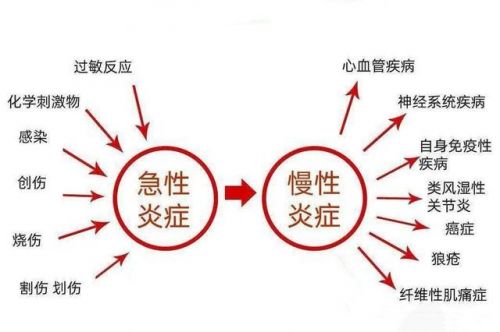 华夏源细胞集团：天津医科大学发现低炎症饮食可降低多种疾病风险！(图1)