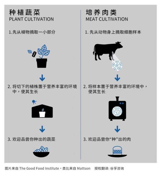 专访黄彬璐｜细胞培养肉技术再度突破产品或于明年登陆市场(图2)