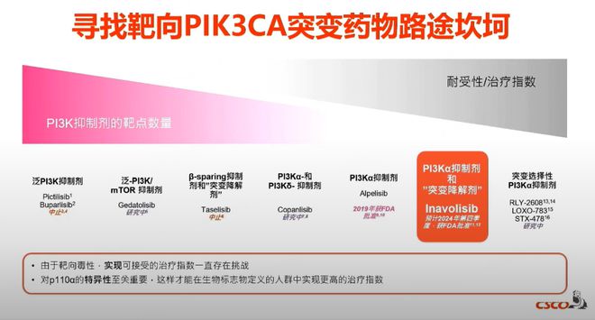刘强教授：乳腺癌精准诊疗之旅从精准筛查、早期诊断到个体化治疗2024CSCO(图2)