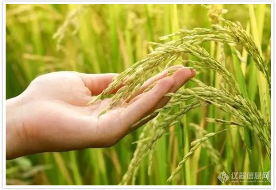 PCR技术：科研与应用领域的坚实伙伴(图5)