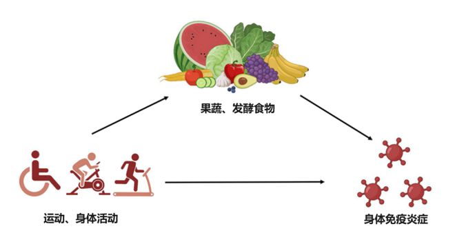 最新发现！抗衰老的最佳生活方式(图3)