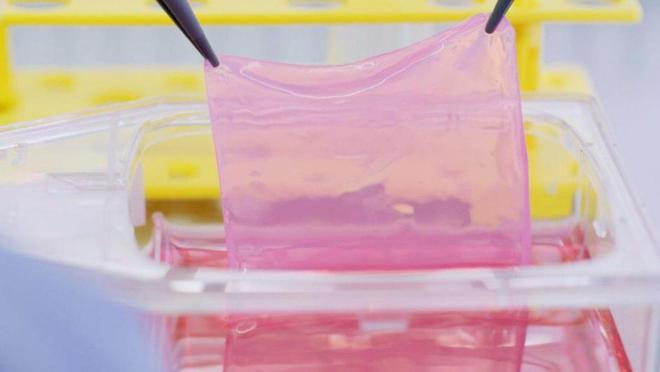 瑞士生物科技公司CUTISS首创皮肤组织生物工程技术实现大面积移植用皮肤的个性化定制与自动化生产瑞士创新100强(图2)