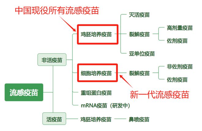流感疫苗新一代不用鸡蛋用细胞要拍死前浪了(图2)