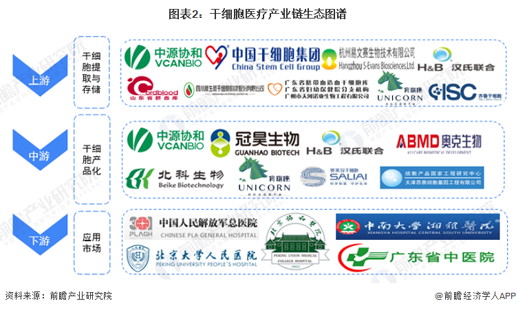干细胞医疗产业招商清单：中源协和、冠昊生物、赛莱拉等最新投资动向【附关键企业名录】(图2)