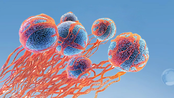 预防癌症的方法!(图2)