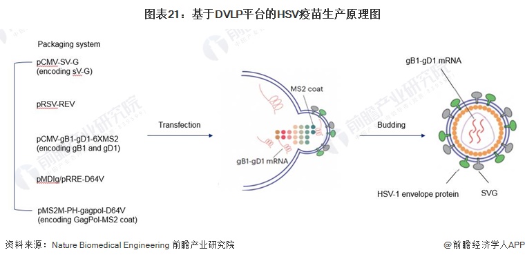 2024年中国战略性新兴产业之——生物医药产业全景图谱(附规模、区域分布、企业布局和技术路线等)(图18)