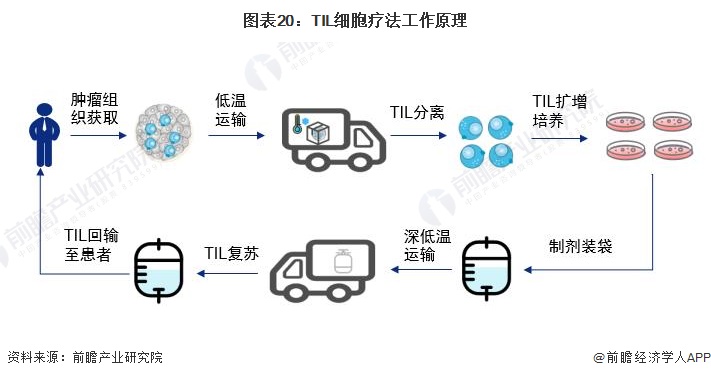 2024年中国战略性新兴产业之——生物医药产业全景图谱(附规模、区域分布、企业布局和技术路线等)(图17)