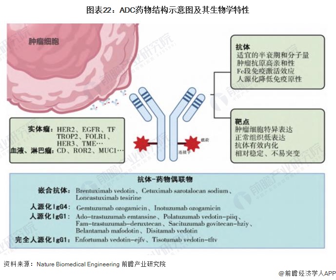 2024年中国战略性新兴产业之——生物医药产业全景图谱(附规模、区域分布、企业布局和技术路线等)(图19)