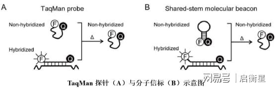 知识分享多色探针熔解曲线法和高分辨率熔解曲线法有什么区别？(图1)