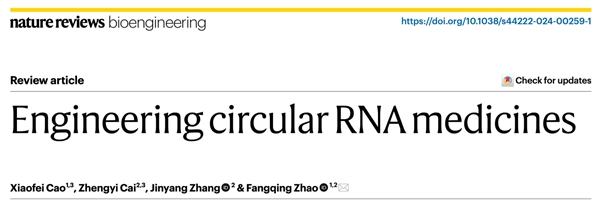 中国科学院动物所团队综述环形RNA药物设计(图1)