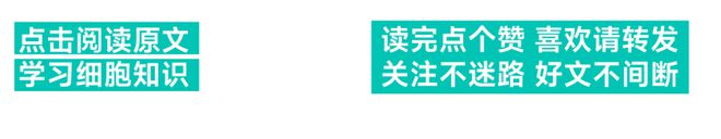 这条“九死一生”的路中国专家们为何一定要走(图6)