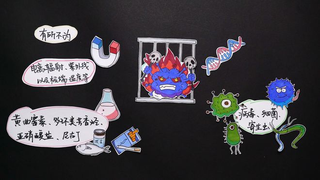 效果最好、成本最低的癌症预防方法是什么？(图1)