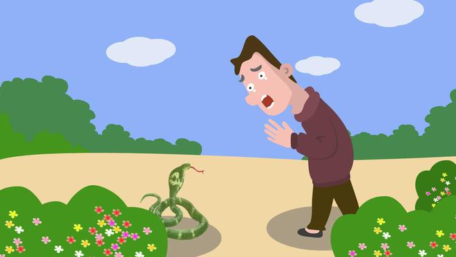 毒蛇跑到家门口大妈用喷洒敌敌畏“以毒攻毒”最终结果如何？(图9)