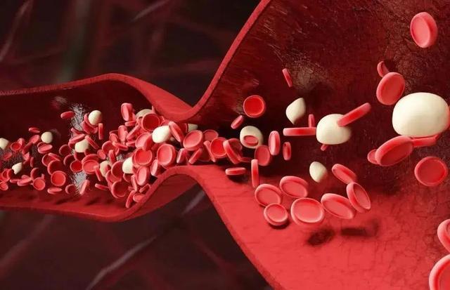 每日都吃大蒜最后的收获会怎样？建议你尝试了解更多相关事宜(图4)