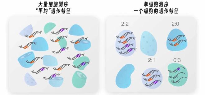 室友拉屎不冲如何抓住真凶？(图9)