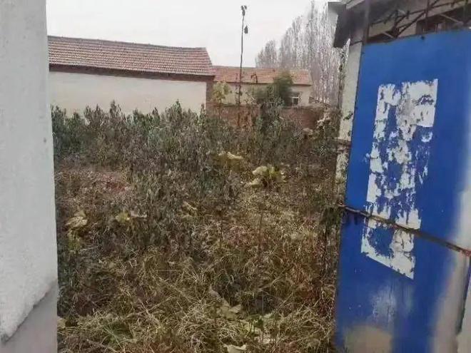 室友拉屎不冲如何抓住真凶？(图6)