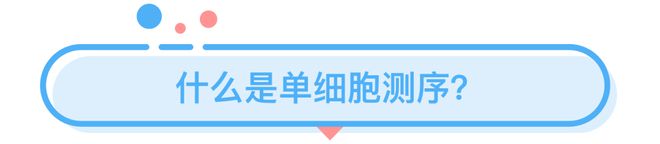 室友拉屎不冲如何抓住真凶？(图7)