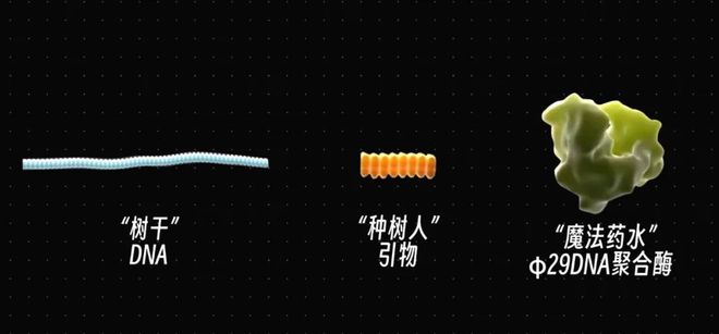 室友拉屎不冲如何抓住真凶？(图13)
