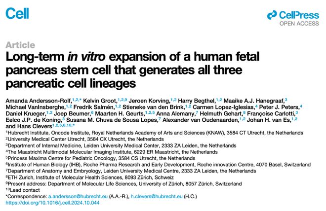 类器官之父最新Cell：成功创建包含所有关键胰腺细胞的新型类器官(图1)