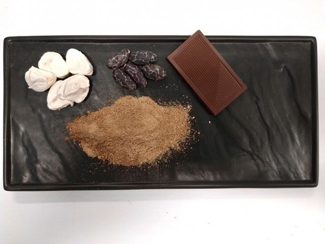 瑞士食品科技公司FoodBrewer研发植物细胞培育技术生产咖啡和可可粉替代品瑞士创新100强(图2)