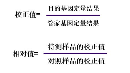 qPCR数据分析(图3)