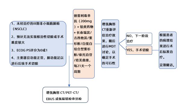 【2024WCLC】替雷利珠单抗联合化疗作为局部晚期NSCLC患者降期和转化治疗的回顾性研究(图1)