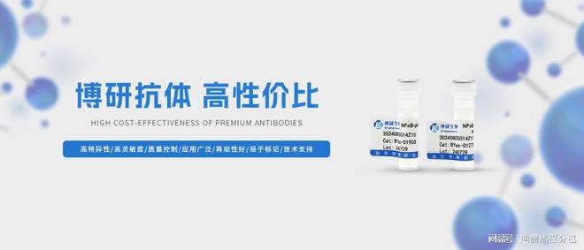 南京博研公司的高性能抗体产品帮您的试验更精准更方便(图1)