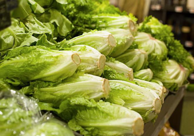 美国食物中毒有多可怕？揭开美国大肠杆菌爆发内幕(图1)